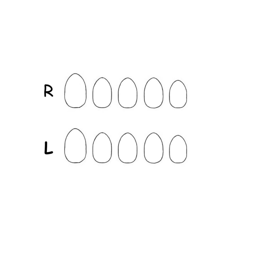 nail sketch template